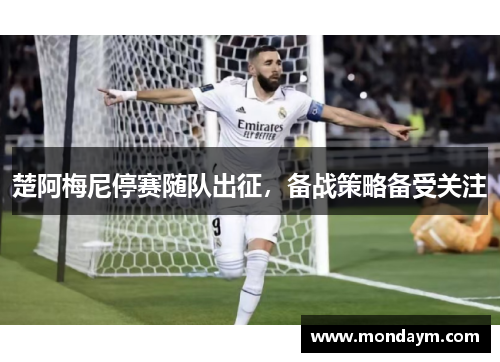 楚阿梅尼停赛随队出征，备战策略备受关注